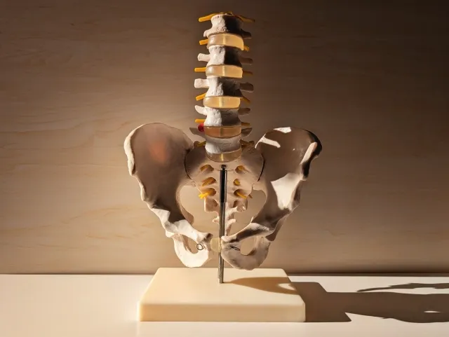 骨盤の歪みと腰痛の因果関係